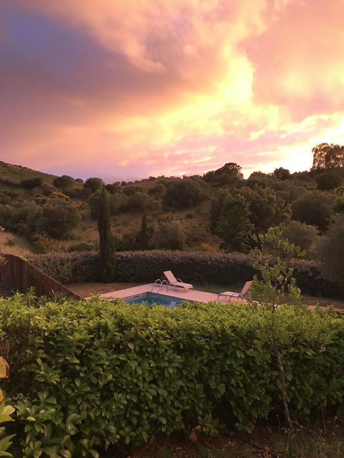 Villa Oliera แซ็งต์-โฟลร็องต์ ภายนอก รูปภาพ